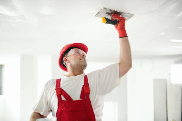 Wallpaper Removal and Painting in Eldora, IA