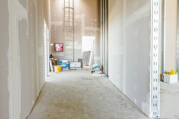 Best Water-Damaged Drywall Repair  in Eldora, IA